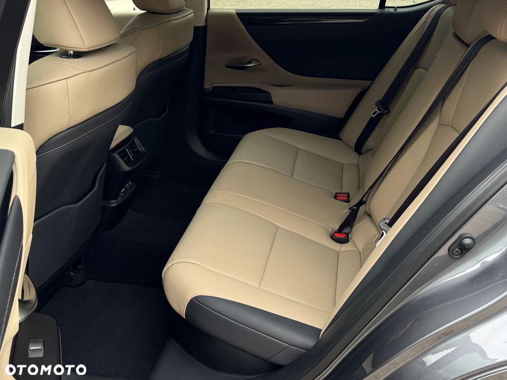 Lexus ES 300h Business Edition + - 19
