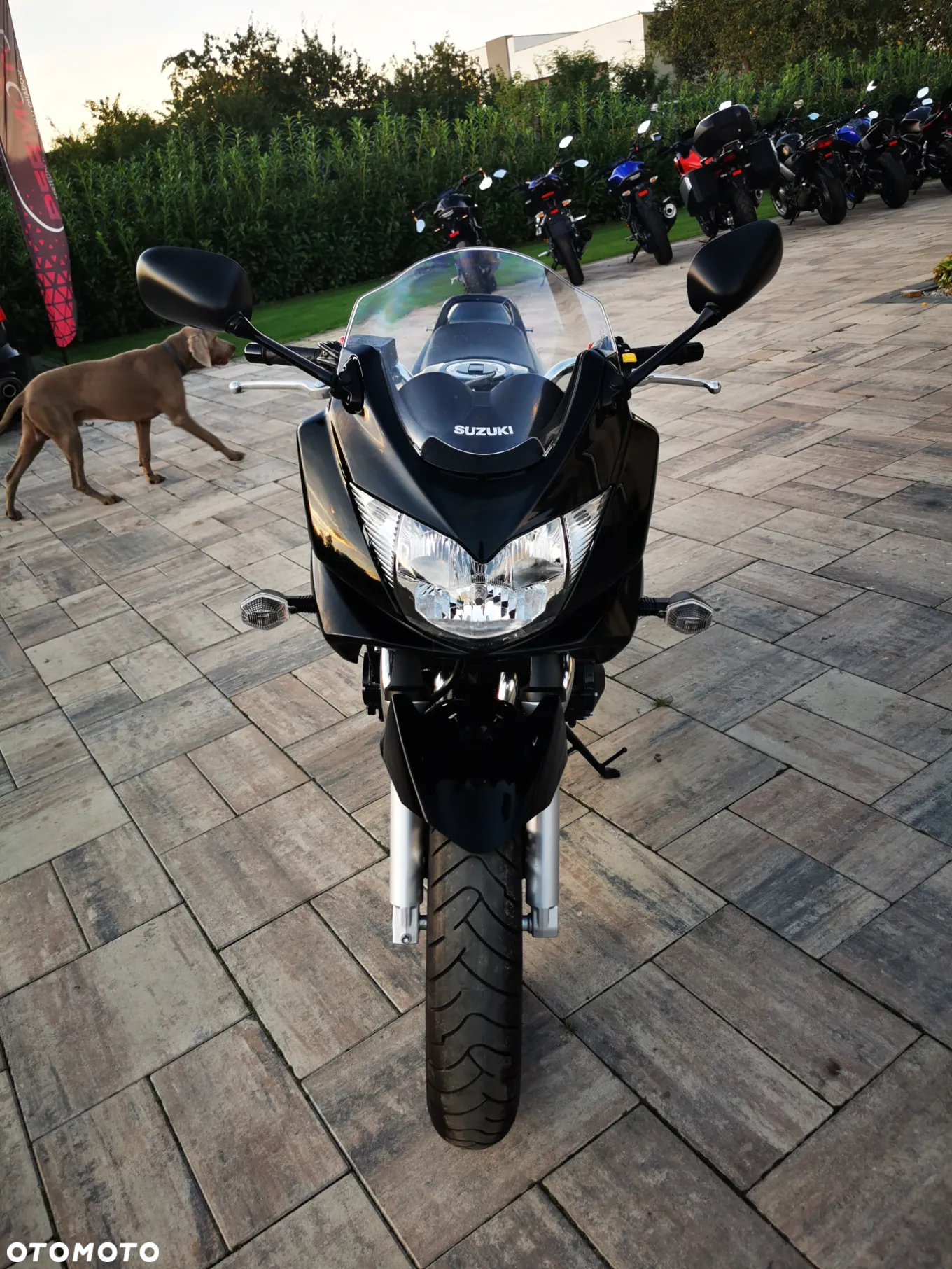 Suzuki Bandit - 29