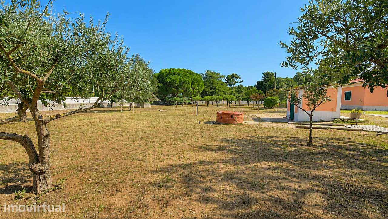 Quinta T5 com Piscina e Pomar em Azeitão - Grande imagem: 4/25