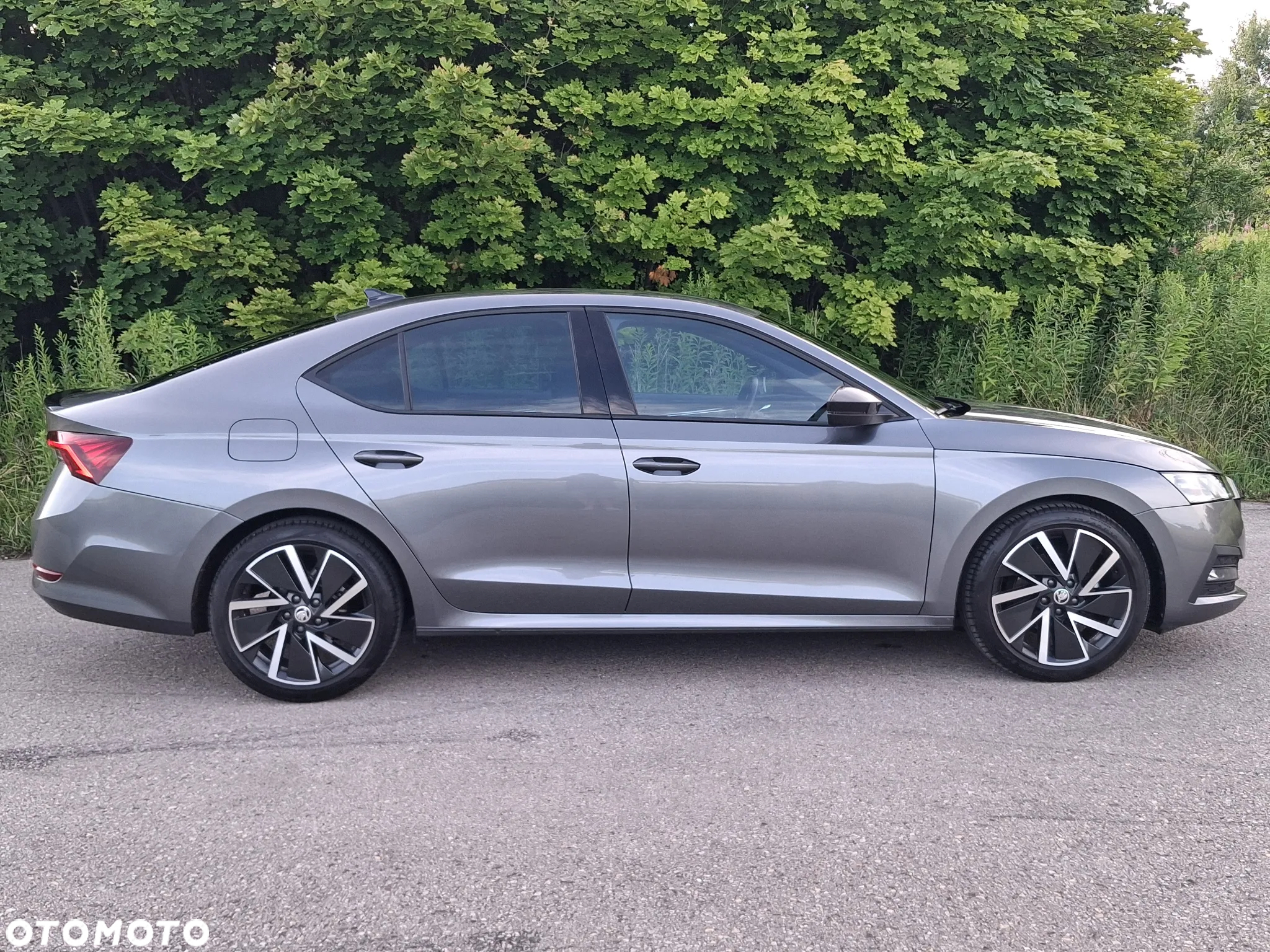 Skoda Octavia - 4