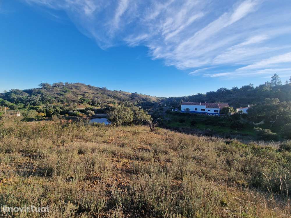 Terreno Rústico - Vale Figueira, Messines - Grande imagem: 3/15