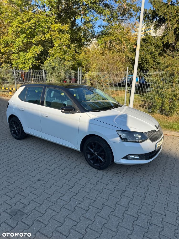 Skoda Fabia 2014 photo 5