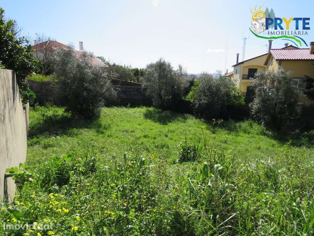 Lote para construção situado em Cernache do Bonjardim - Grande imagem: 3/13