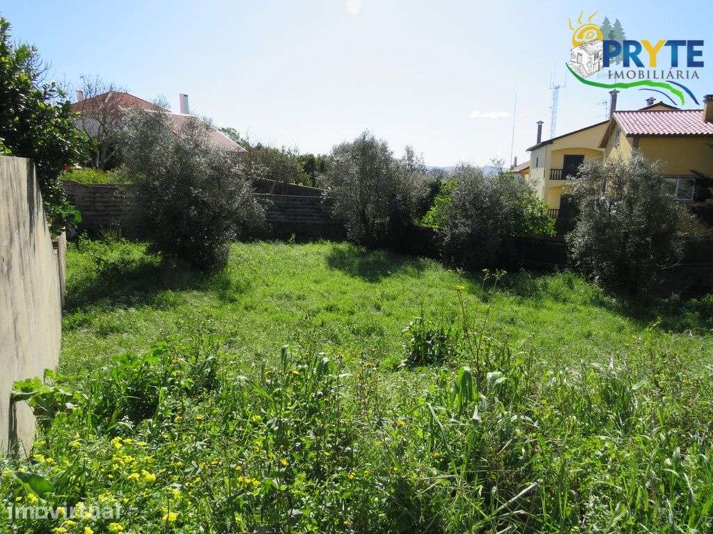 Lote para construção situado em Cernache do Bonjardim - Grande imagem: 3/13