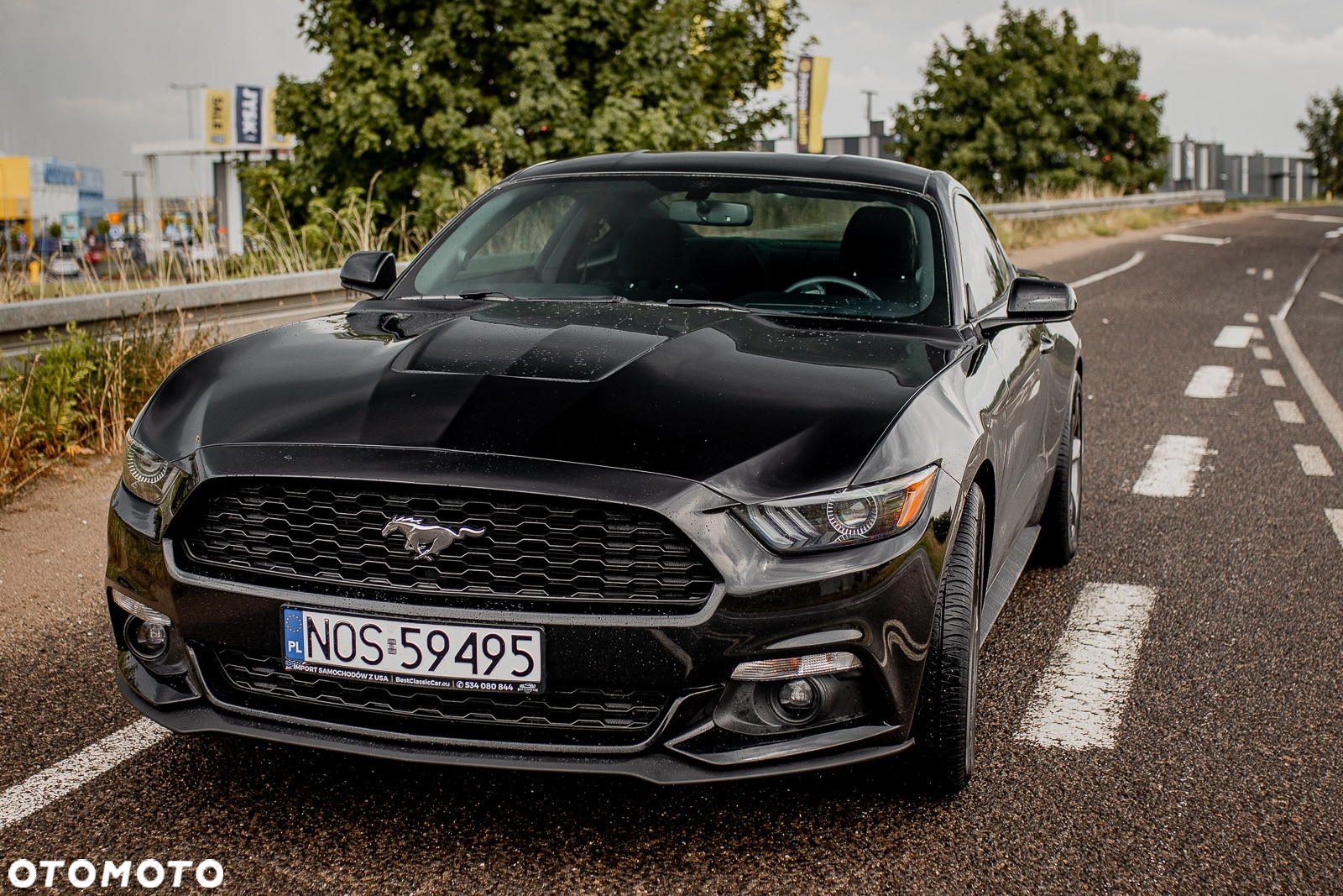 Ford Mustang 2.3 EcoBoost - 3