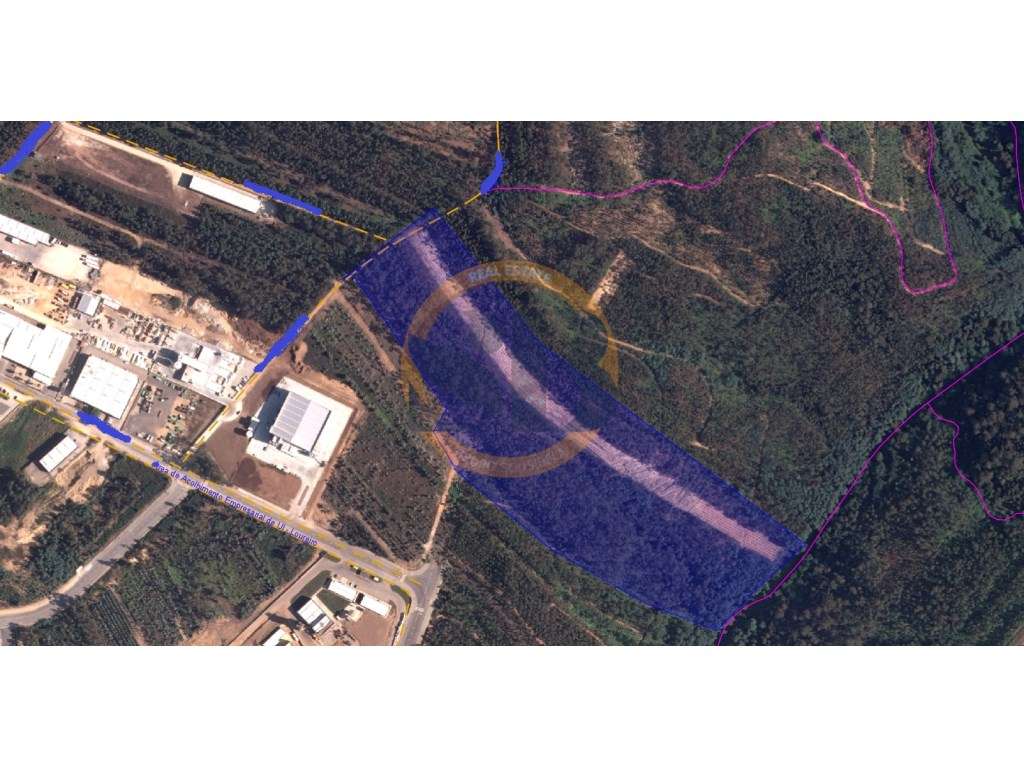 Terreno Industrial Loureiro Oliveira de Azeméis - Grande imagem: 2/2