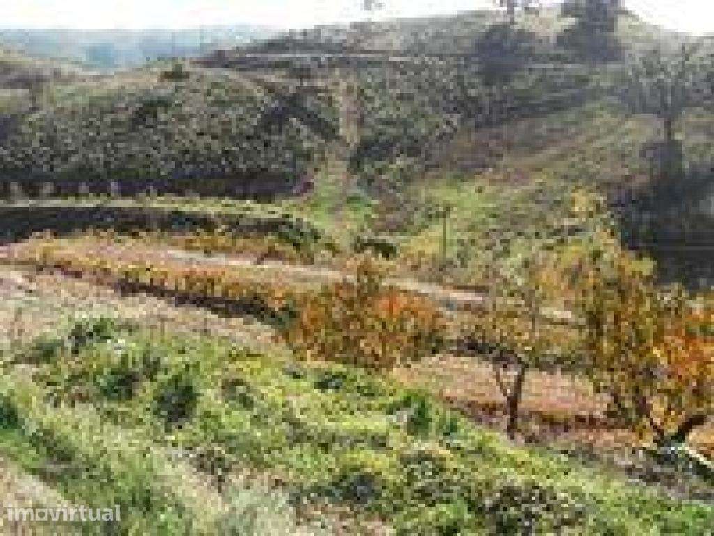 Terreno - até 100% Financiamento - Grande imagem: 2/2