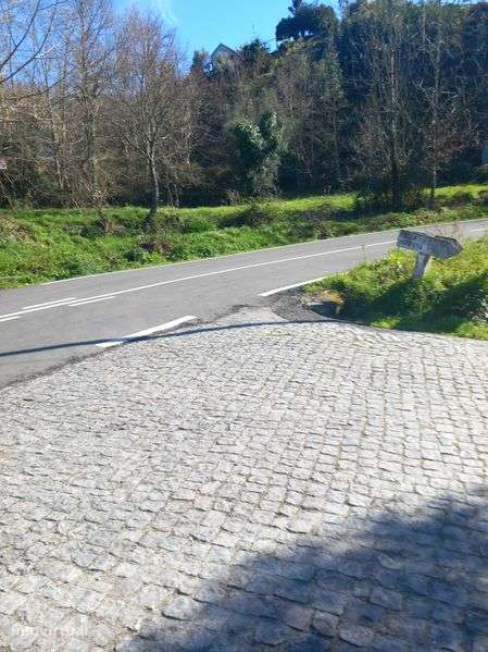 quintinha bem localizada em celorico de Basto - Grande imagem: 2/6
