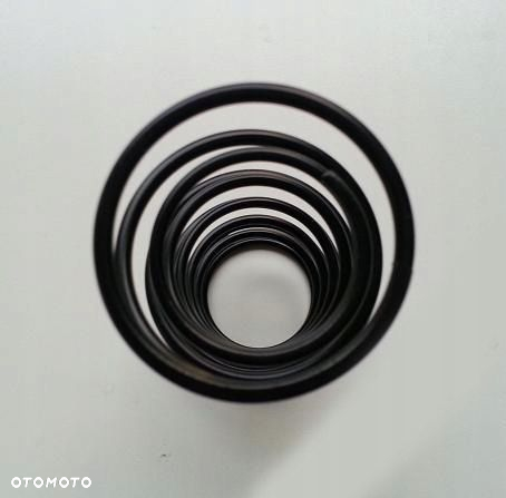 Sprężyna do WasteGate TIAL 1 bar 38mm 0.5 bara 44m - 5