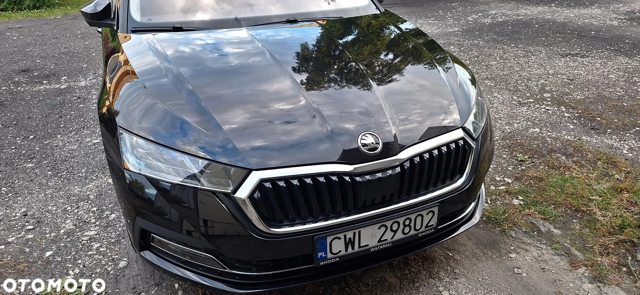 Skoda Octavia - 8