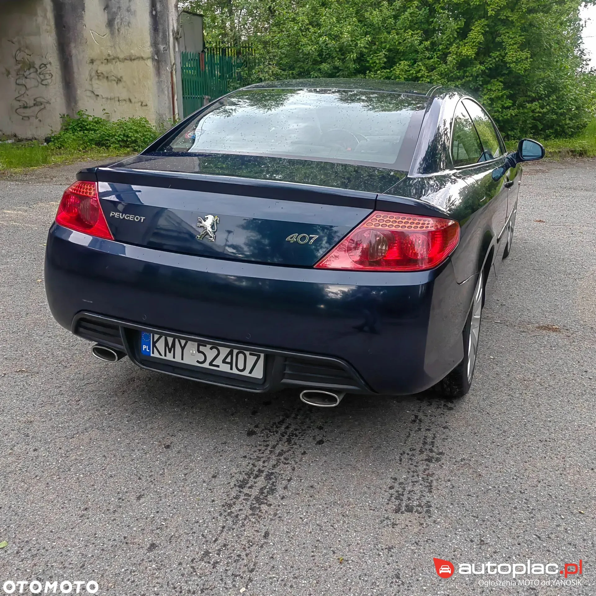 Peugeot 407 - 9