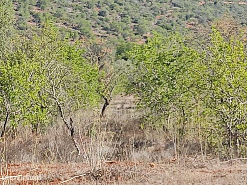 Terreno Rustico com 12 390 m2, Loulé, Algarve - Grande imagem: 4/10