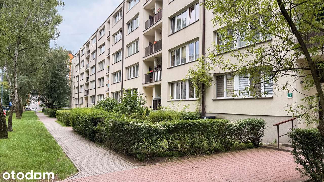 Blisko ŚUM - 2 pokoje, Katowice ul. Świdnicka