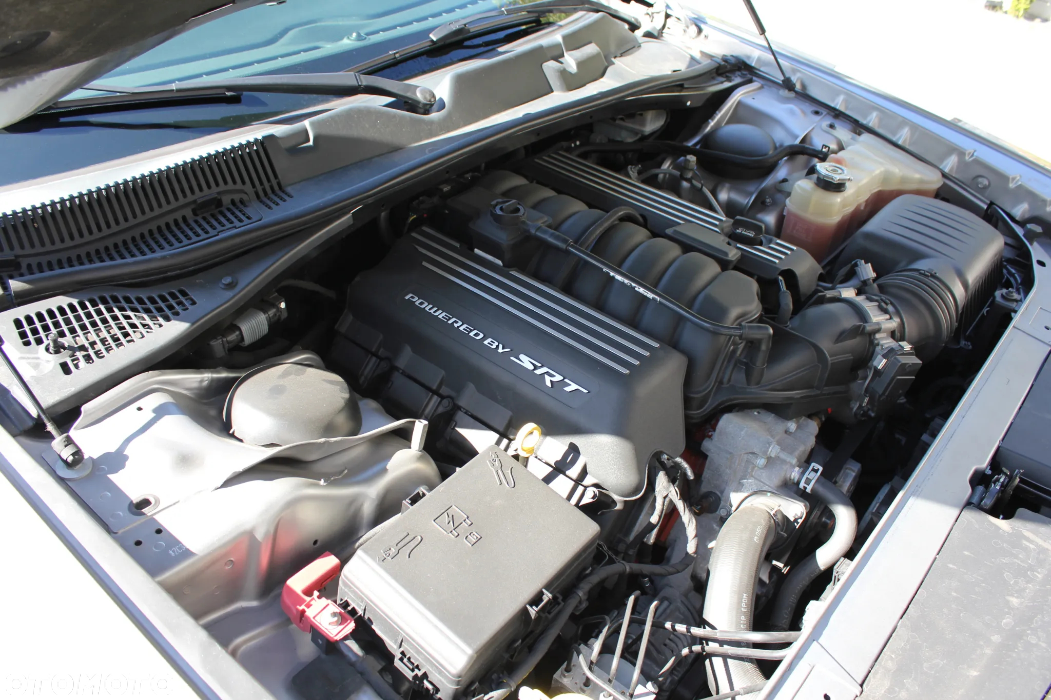 Dodge Challenger 6.4 Scat Pack - 24