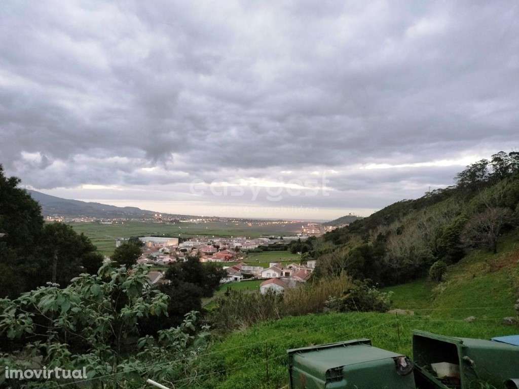 Moradia T3 na freguesia de Santa Cruz, em zona tranquilha. - Grande imagem: 5/28