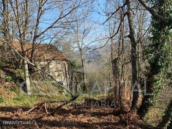 Quinta com frente rio em Santo Isidoro, Marco de Canaveses - Grande imagem: 3/29