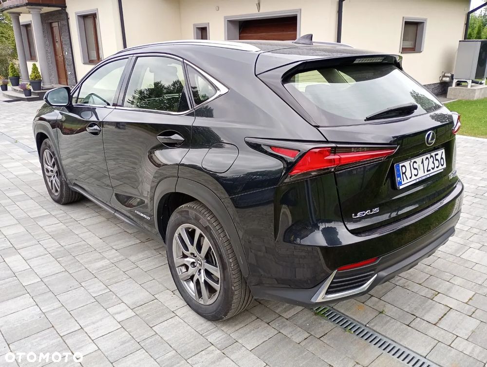 Lexus NX 300h Elite 2WD - 7