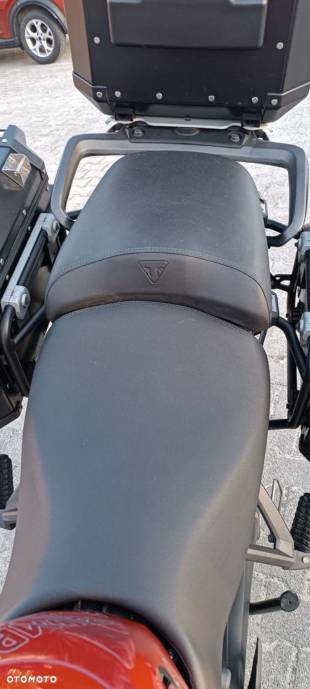 Triumph Tiger - 23