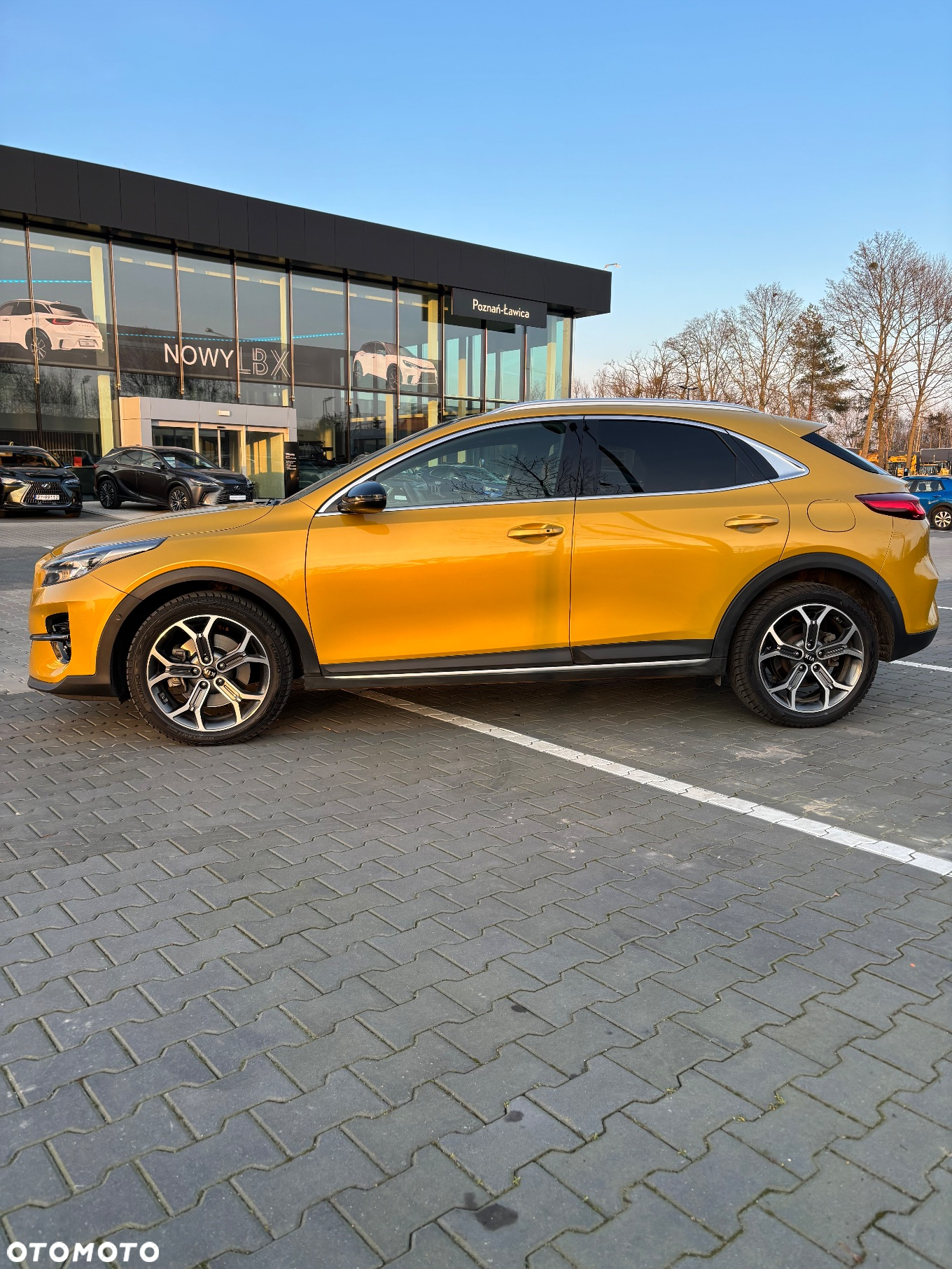 Kia XCeed 1.6 T-GDI OPF DCT7 SPIRIT - 3