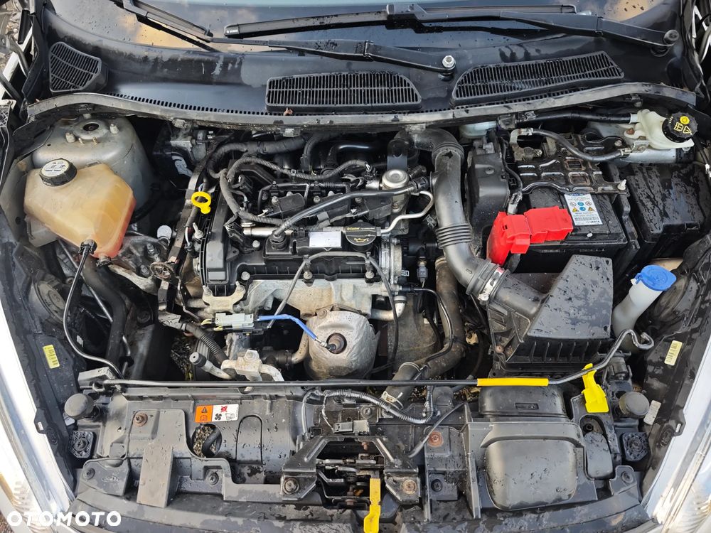 Ford Fiesta - 12