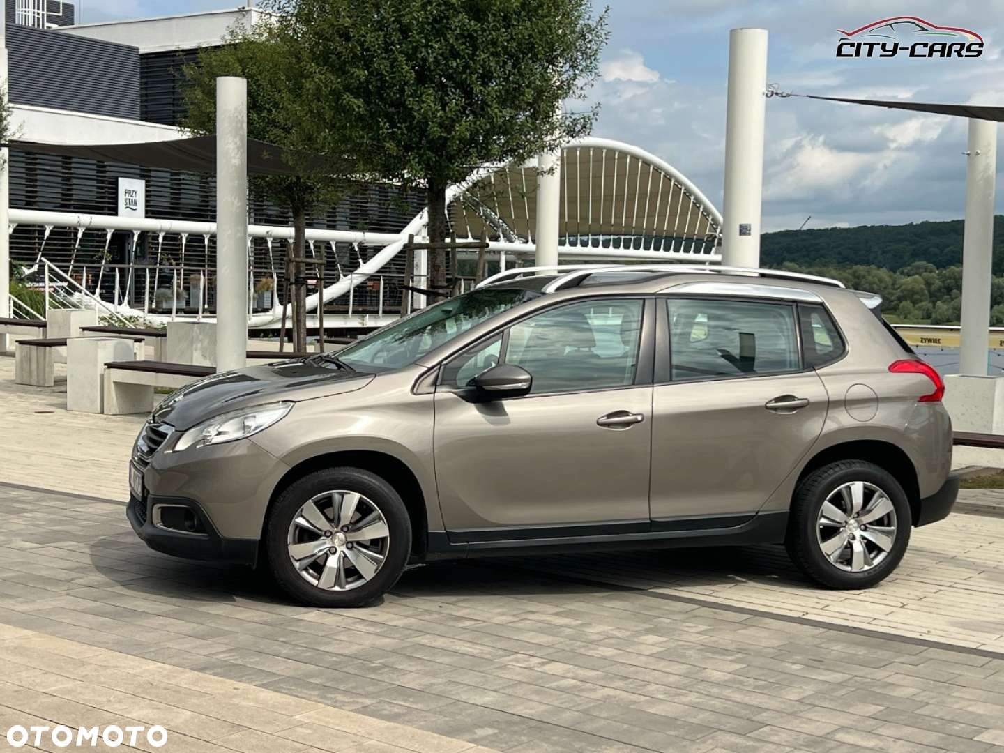 Peugeot 2008 - 6