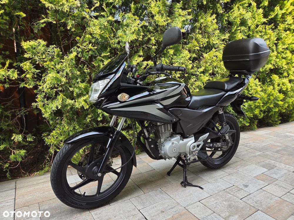 Honda CBF - 4