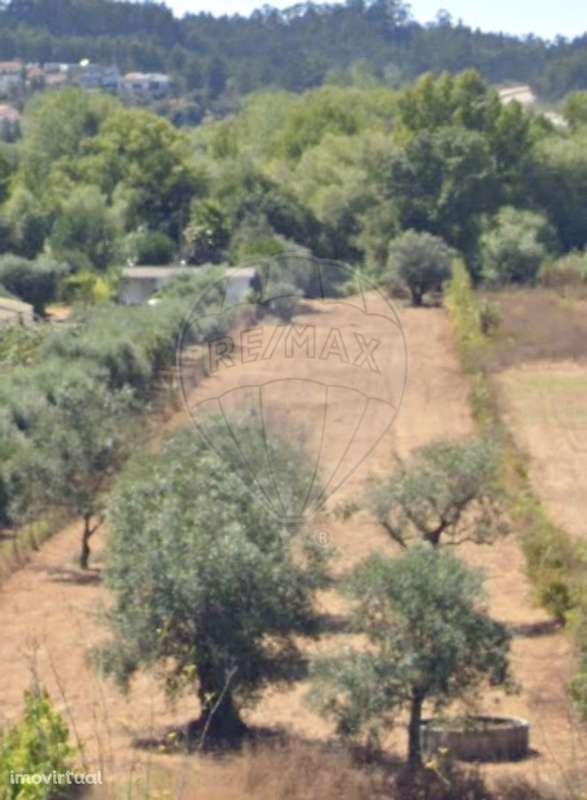 Terreno  para arrendamento - Grande imagem: 2/3