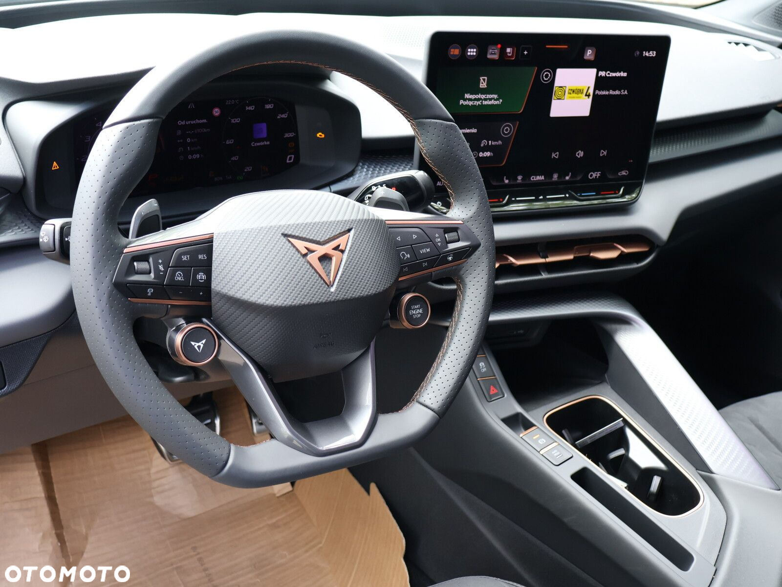 Cupra Terramar 2.0 TSI 4Drive VZ DSG - 20