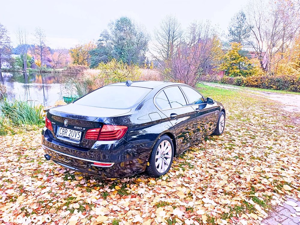 BMW Seria 5 520d Efficient Dynamics Edition Luxury Line - 6