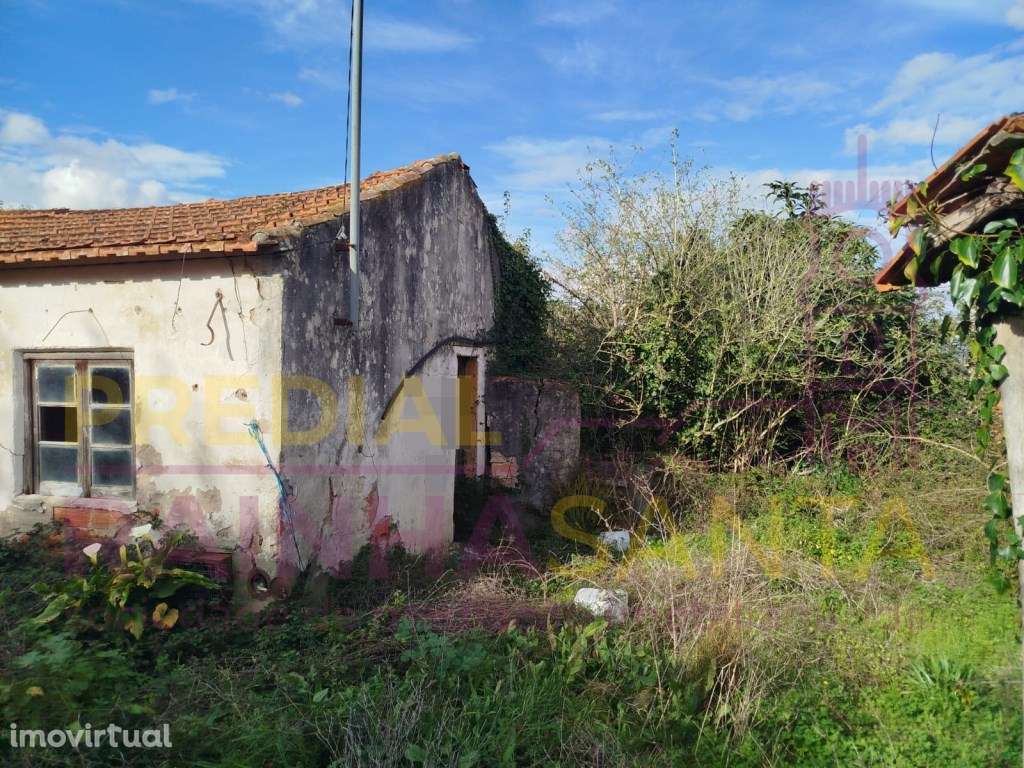 Casa de aldeia T2 Soure - Grande imagem: 3/10