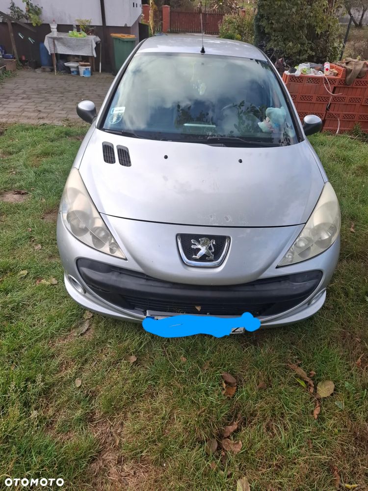 Peugeot 206 plus - 1