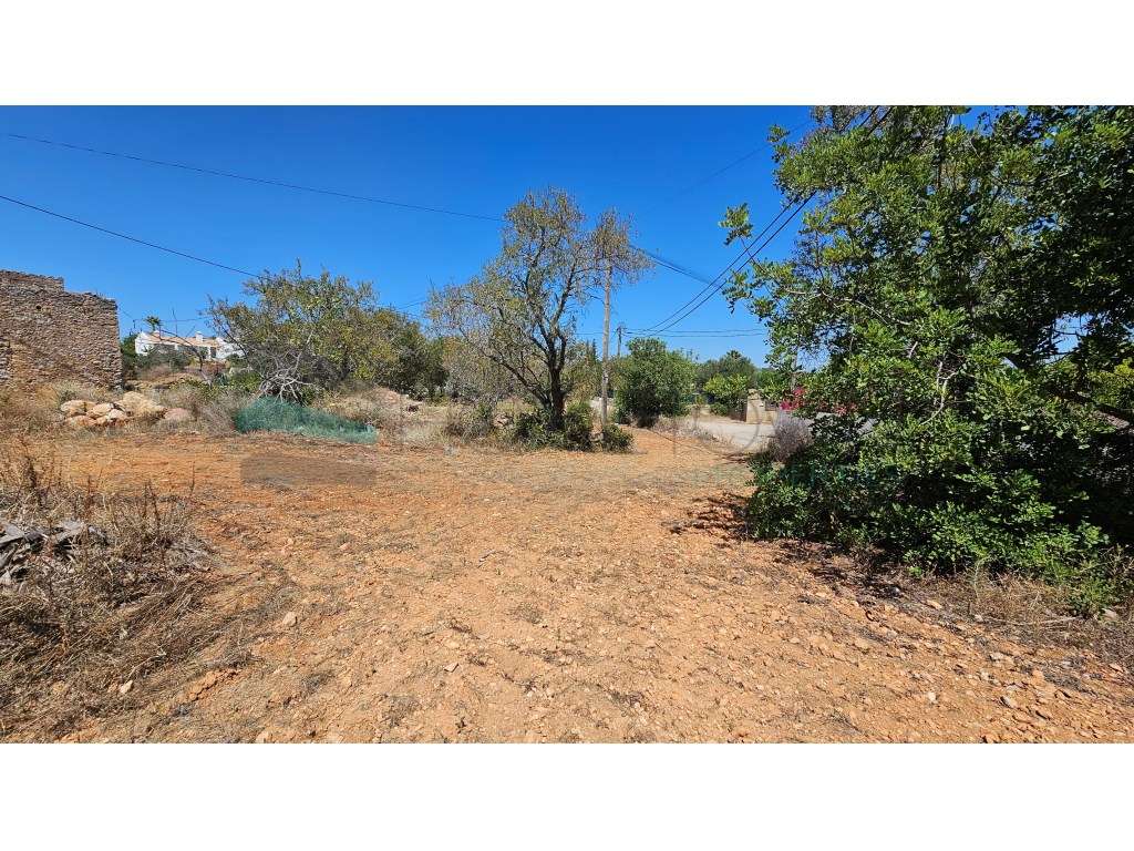 Moradia para Restaurar - BOLIQUEIME - Grande imagem: 3/28