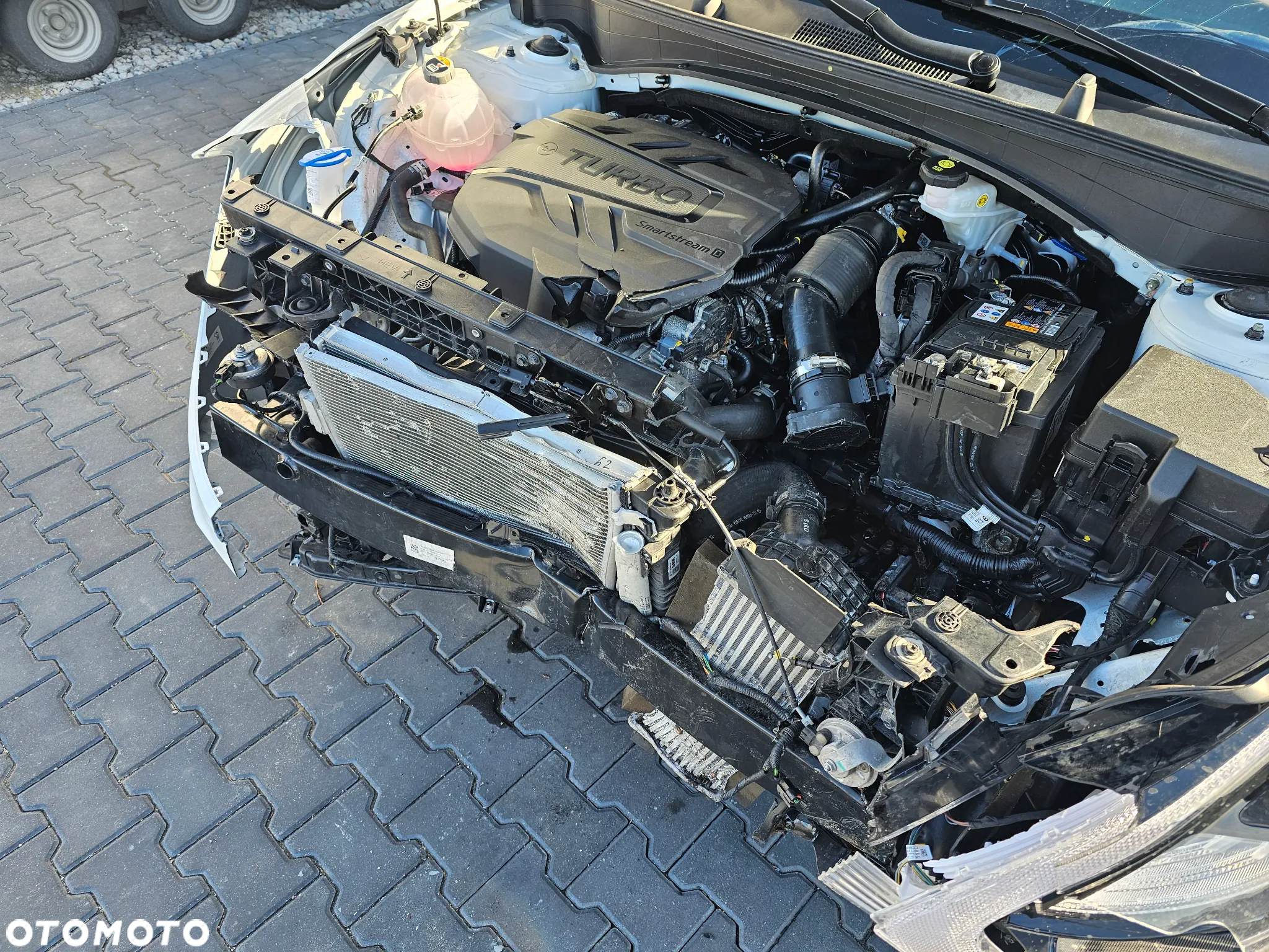 Kia Sportage - 22