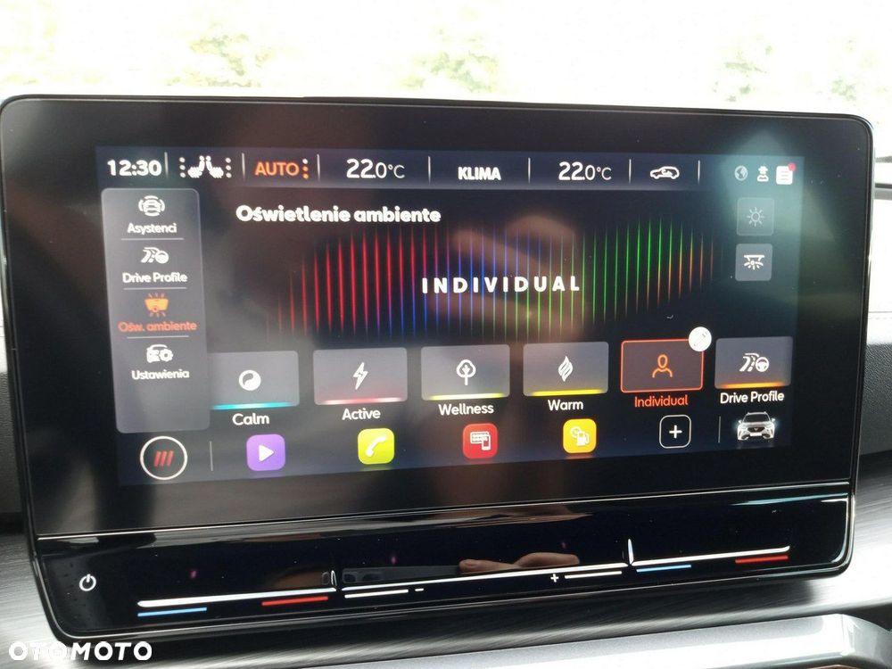 Cupra Formentor - 20