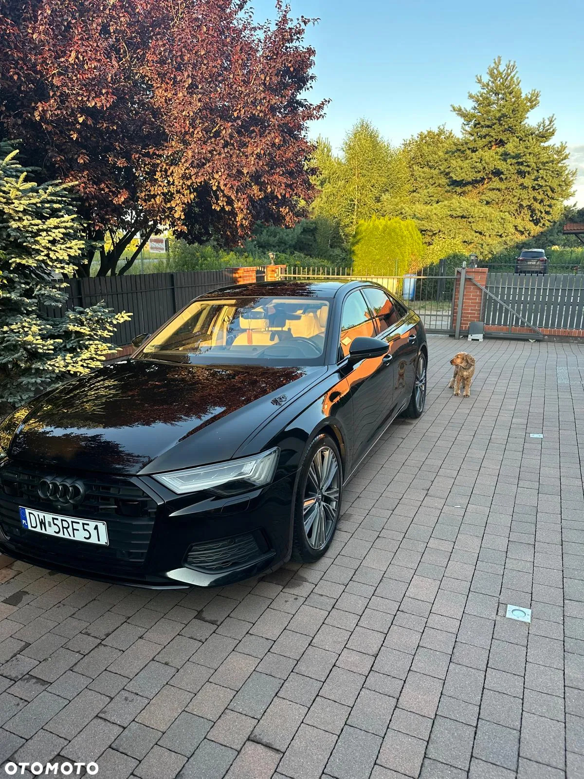 Audi A6 - 2