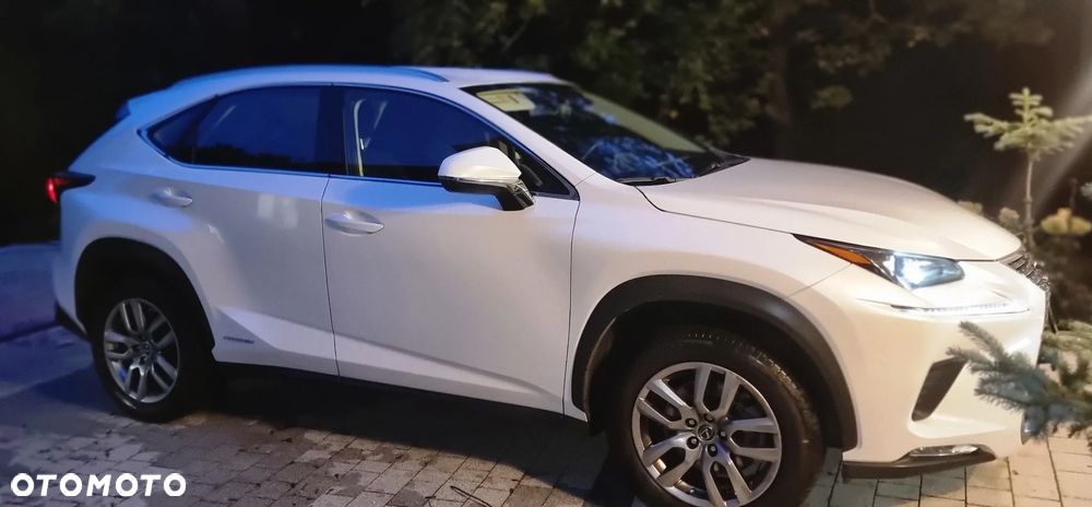 Lexus NX 300h Elegance + Business AWD - 4
