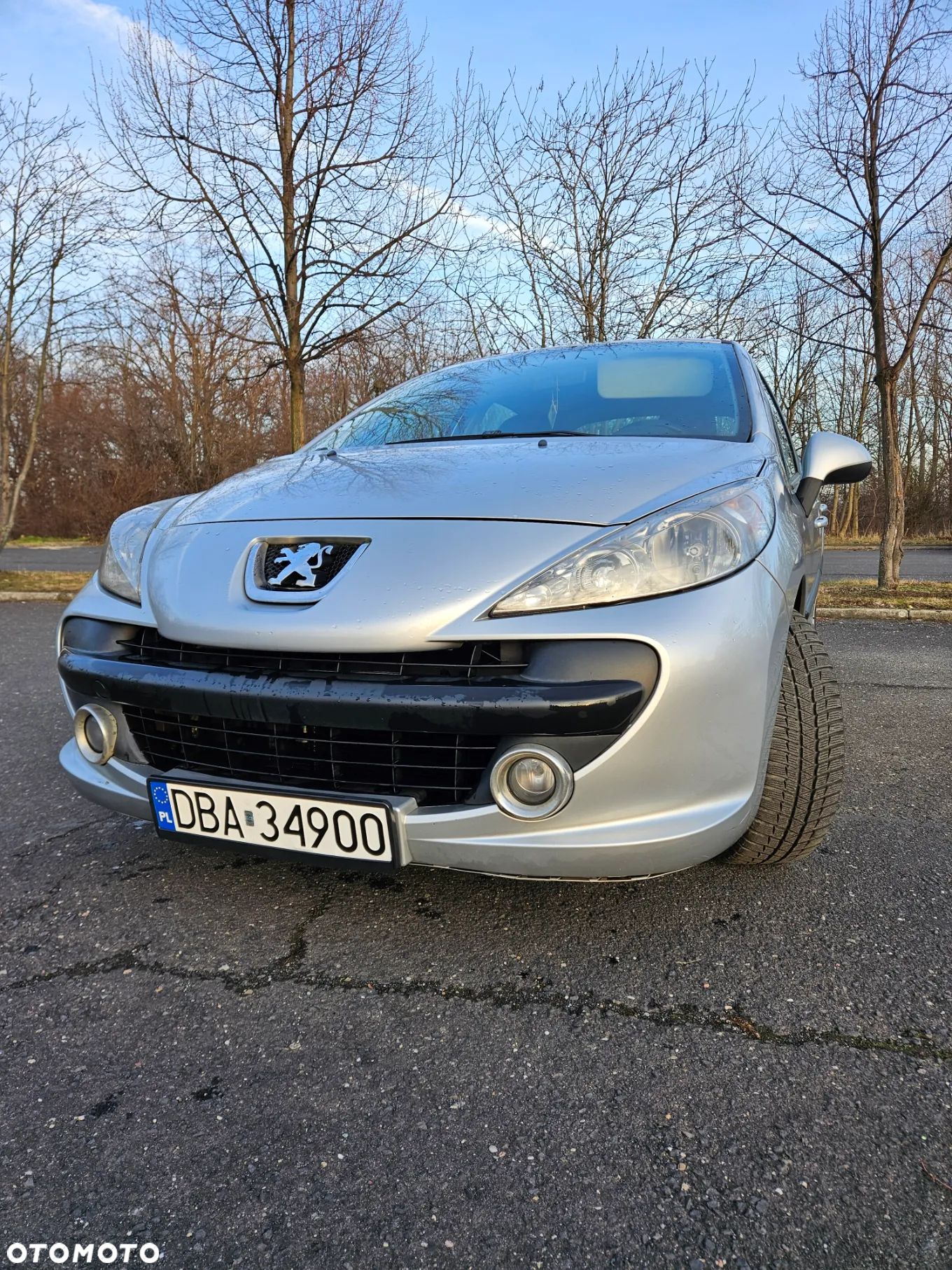 Peugeot 207 - 1