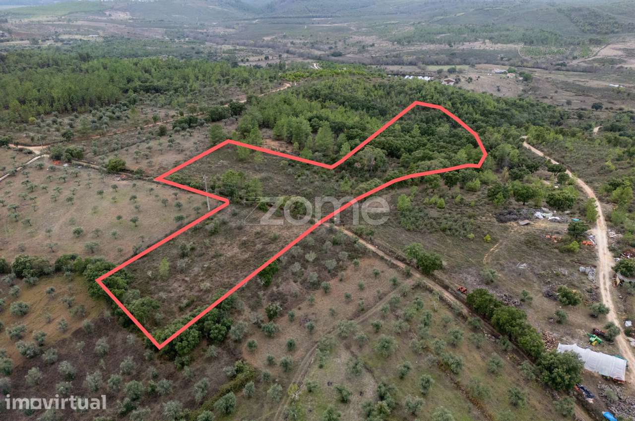 Terreno Rústico com 12.120 m² em Freixial do Campo - Castelo Branco - Grande imagem: 3/22
