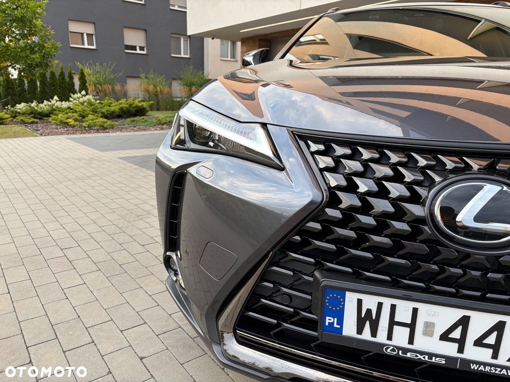 Lexus UX - 16
