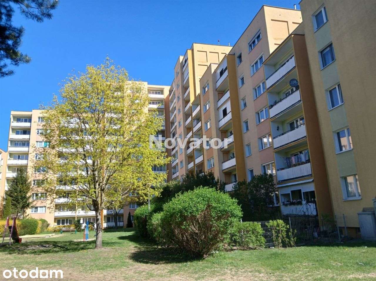 M-4 na parterze w bloku 63,36m2 w Nowym Fordonie.