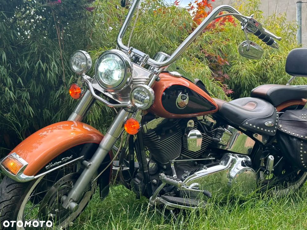 Harley-Davidson Softail - 11