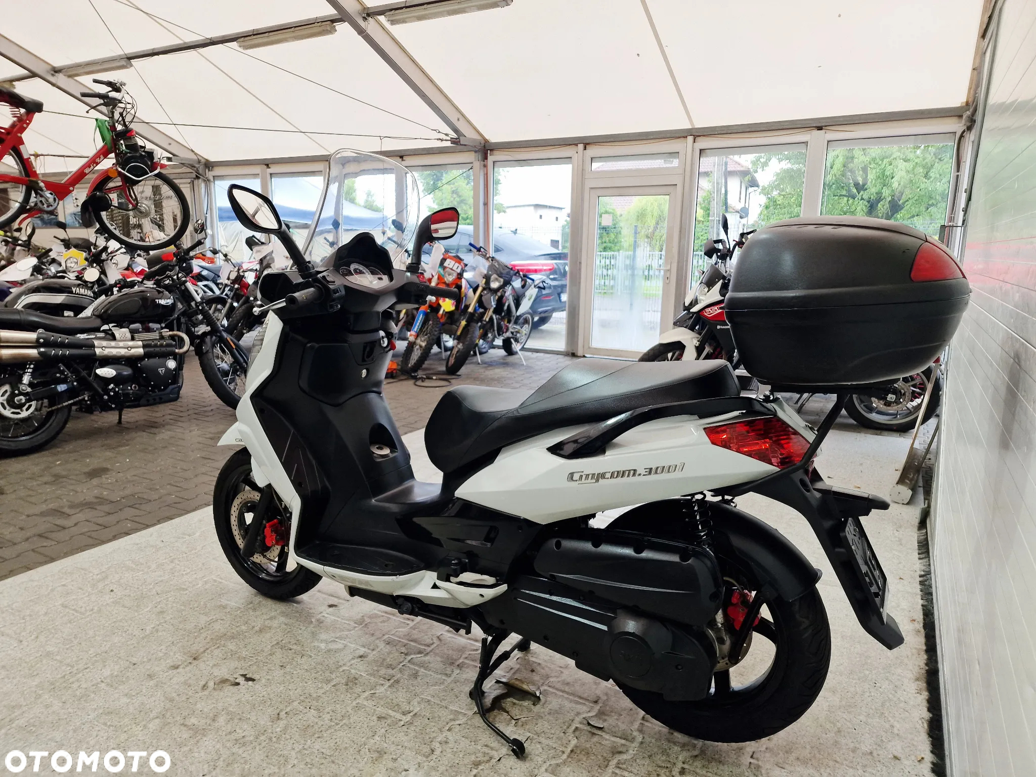 SYM MAXSYM - 19