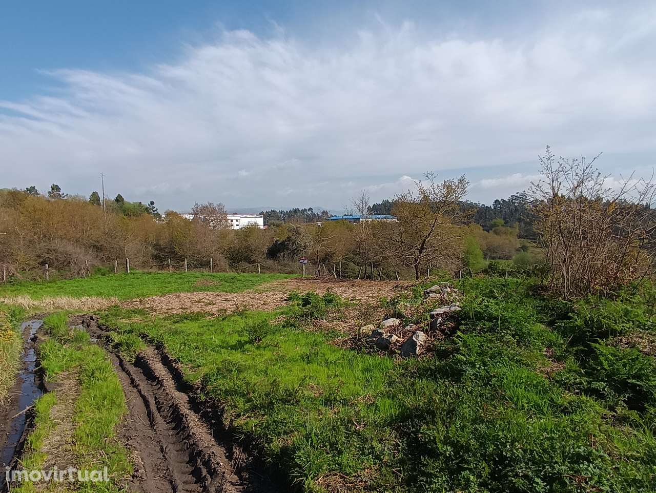 Terreno – Oliveira de Frades - Grande imagem: 2/12