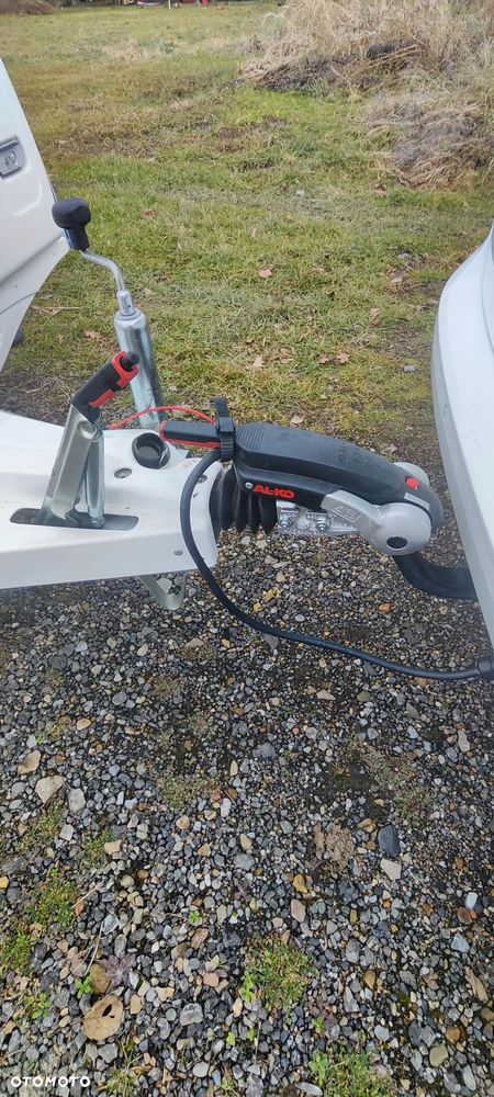 Niewiadów NTL-Sport - 10