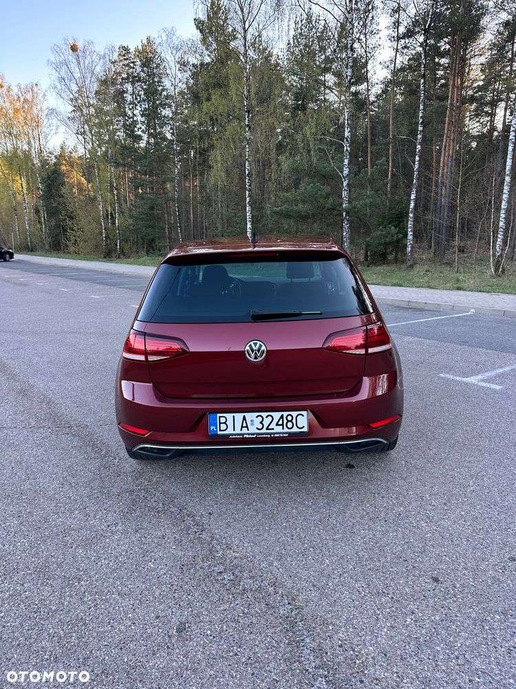 Volkswagen Golf 1.0 TSI IQ Drive - 7