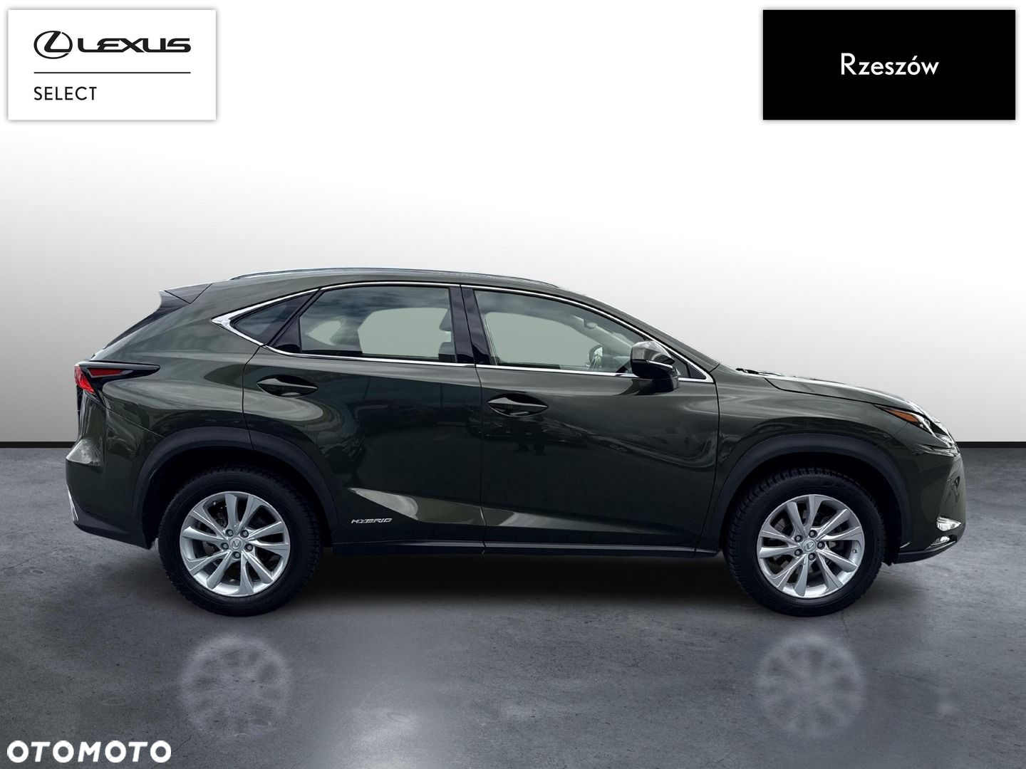 Lexus NX - 6