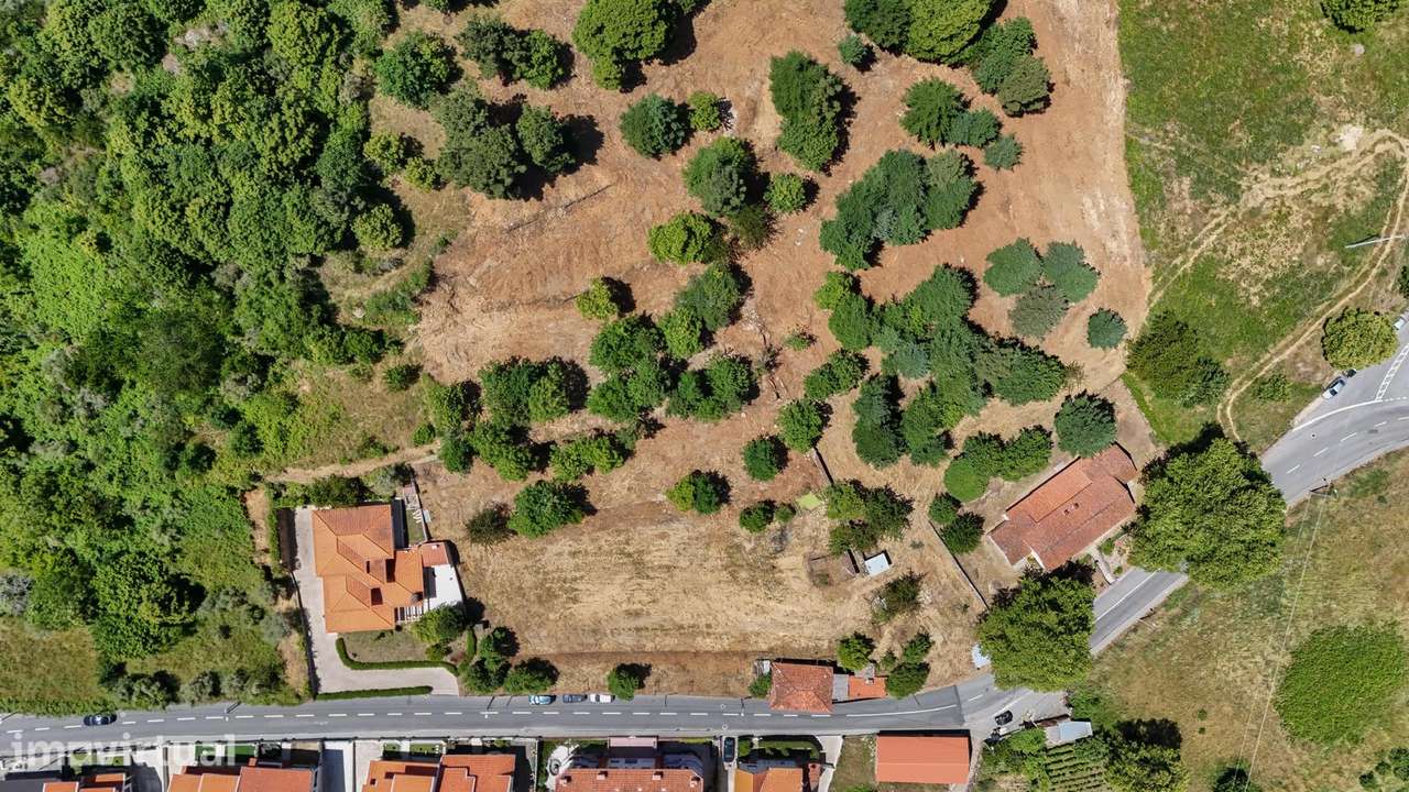 Quinta 7.438 m² em  Lamego, Moradia em Pedra, Investimento de Futuro - Grande imagem: 3/25