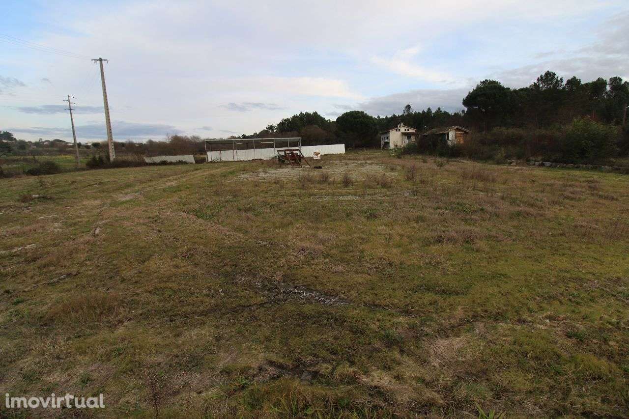 Terreno Vedado na Estrada Nacional - Grande imagem: 4/8