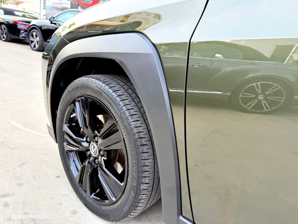 Lexus UX 250h Special Edition (LCA) - 53