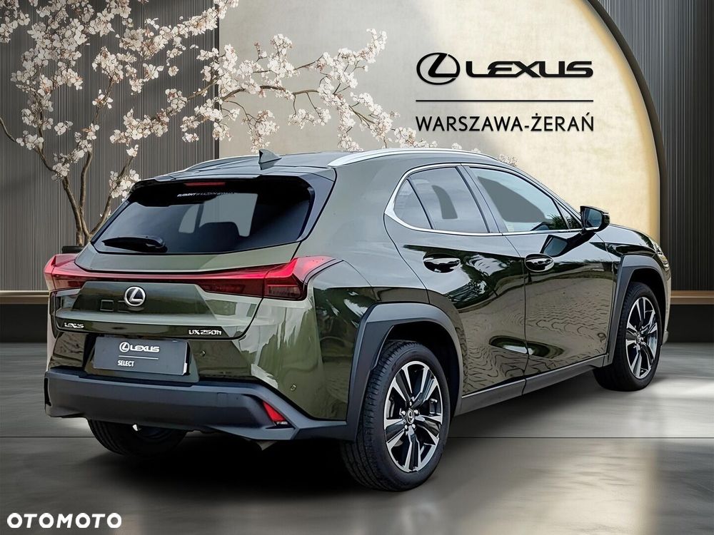 Lexus UX 250h GPF Business 2WD - 7
